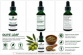 Olive Leaf Tincture/Herbal Extract
