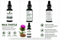 Milk Thistle Tincture/Herbal Extract