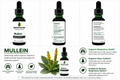 Mullein Tincture/Herbal Extract