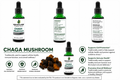 Chaga Mushroom Tincture/Herbal Extract