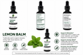 Lemon Balm Tincture/Herbal Extract