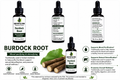 Burdock Tincture/Herbal Extract