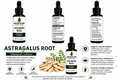 Astragalus Root Tincture/Herbal Extract