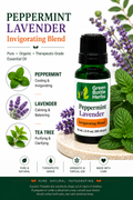 Peppermint & Lavender Essential Oil Blend