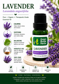 Lavender Essential Oil