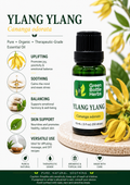 Ylang Ylang Essential Oil