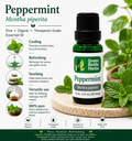 Peppermint Essential Oil