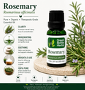 Rosemary Essential Oil