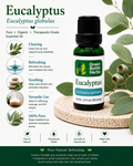 Eucalyptus Essential Oil