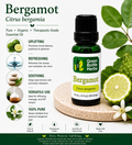 Bergamot Essential Oil