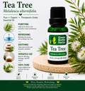 Tea Tree Essential Oil