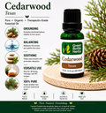 Cedarwood Essential Oil