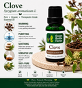 Clove Essential Oil