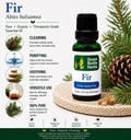 Fir Essential Oil