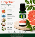 Pink Grapefruit Essential Oil
