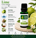Lime Essential Oil