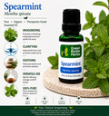Spearmint Essential Oil