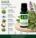 Sage Essential Oil
