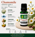 Chamomile Essential Oil Dilution