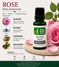 Rose Essential Oil Dilution
