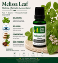 Melissa Leaf (Lemon Balm) Essential Oil Dilution