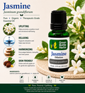 Jasmine Essential Oil Dilution