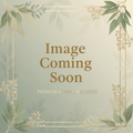 Blood Sugar Balance Tincture/Herbal Extract